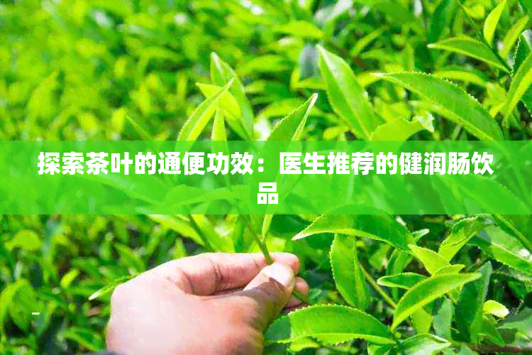 探索茶叶的通便功效：医生推荐的健润肠饮品