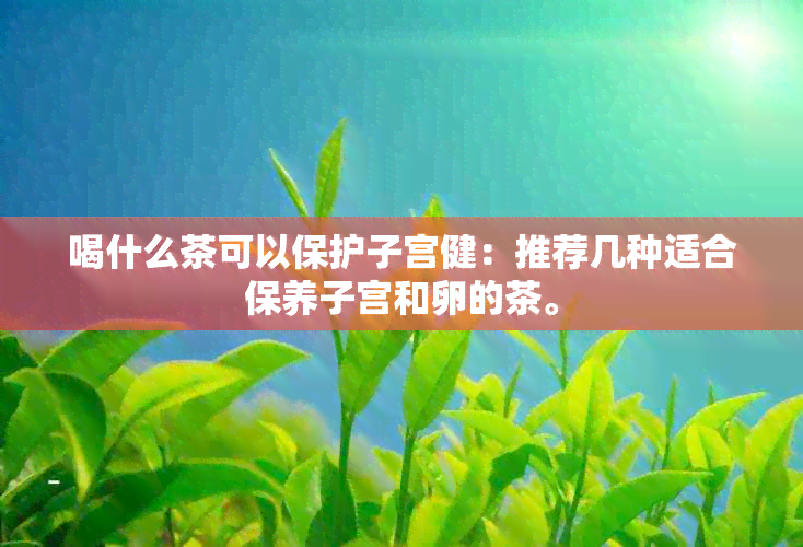 喝什么茶可以保护子宫健：推荐几种适合保养子宫和卵的茶。