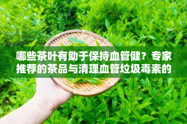 哪些茶叶有助于保持血管健？专家推荐的茶品与清理血管垃圾素的方法