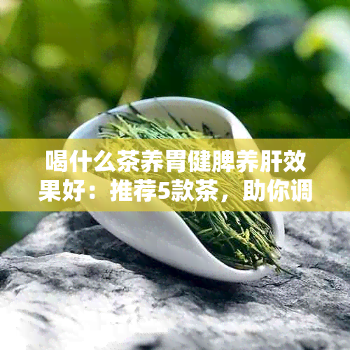 喝什么茶养胃健脾养肝效果好：推荐5款茶，助你调理身体