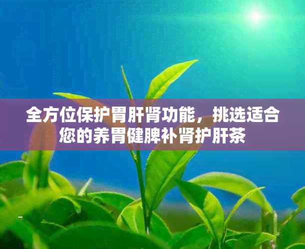 全方位保护胃肝肾功能，挑选适合您的养胃健脾补肾护肝茶