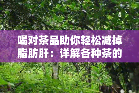 喝对茶品助你轻松减掉脂肪肝：详解各种茶的功效与搭配建议