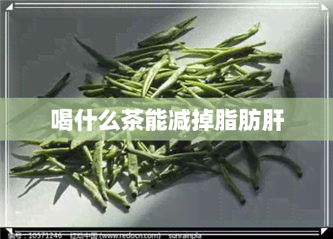 喝什么茶能减掉脂肪肝