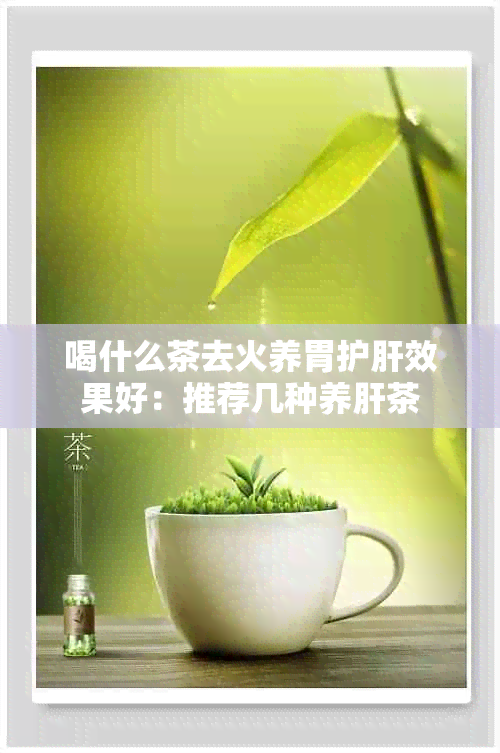 喝什么茶去火养胃护肝效果好：推荐几种养肝茶