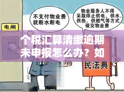 个税汇算清缴逾期未申报怎么办？如何处理相关问题？