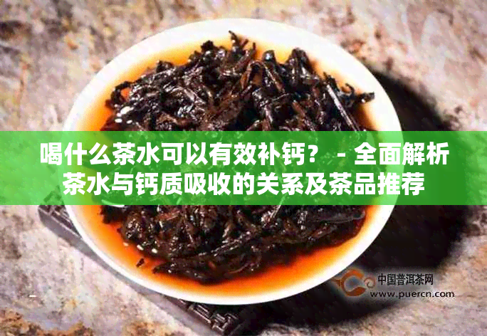 喝什么茶水可以有效补钙？ - 全面解析茶水与钙质吸收的关系及茶品推荐