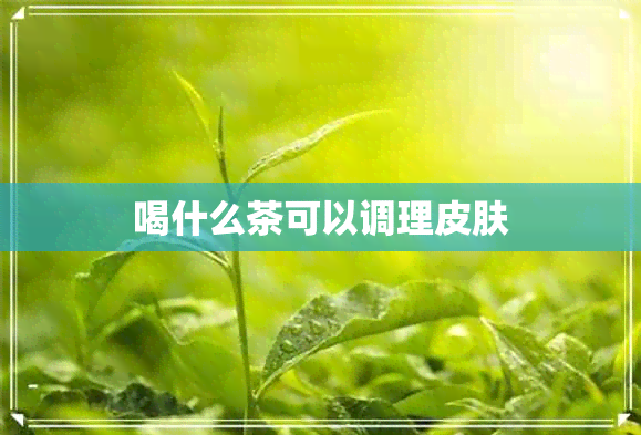 喝什么茶可以调理皮肤