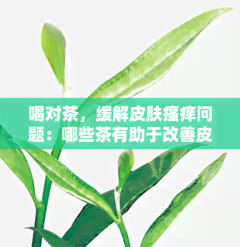 喝对茶，缓解皮肤瘙痒问题：哪些茶有助于改善皮肤状况？