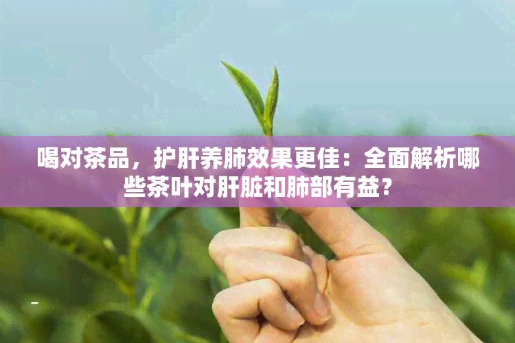 喝对茶品，护肝养肺效果更佳：全面解析哪些茶叶对肝脏和肺部有益？