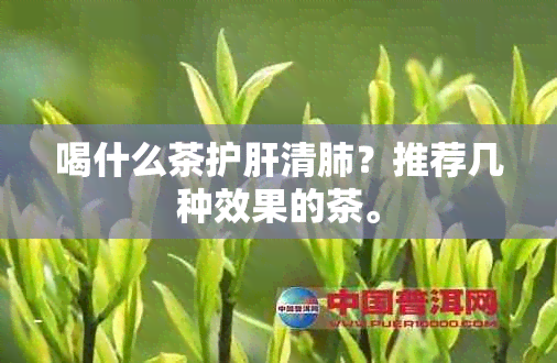 喝什么茶护肝清肺？推荐几种效果的茶。