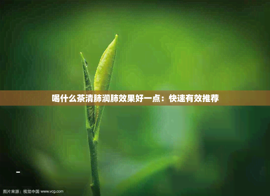 喝什么茶清肺润肺效果好一点：快速有效推荐