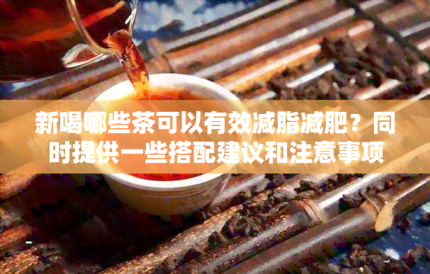 新喝哪些茶可以有效减脂减肥？同时提供一些搭配建议和注意事项