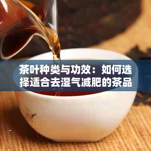 茶叶种类与功效：如何选择适合去湿气减肥的茶品？