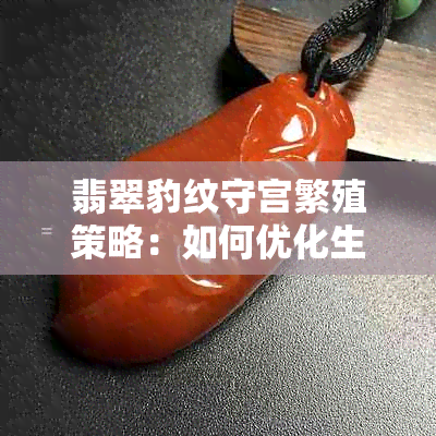 翡翠豹纹守宫繁殖策略：如何优化生孩子环境与选择配种伴侣