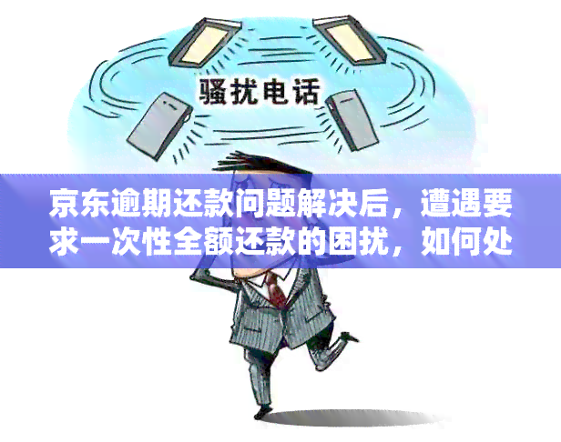 京东逾期还款问题解决后，遭遇要求一次性全额还款的困扰，如何处理？