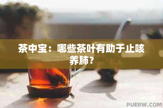 茶中宝：哪些茶叶有助于止咳养肺？