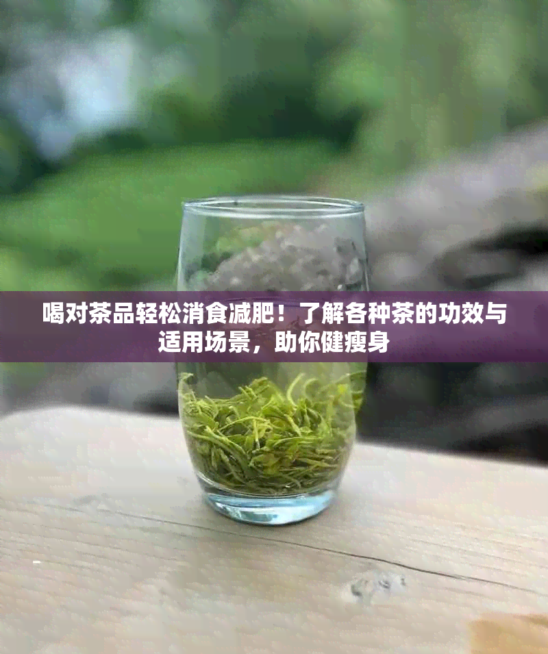 喝对茶品轻松消食减肥！了解各种茶的功效与适用场景，助你健瘦身