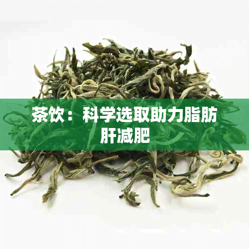 茶饮：科学选取助力脂肪肝减肥