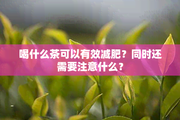 喝什么茶可以有效减肥？同时还需要注意什么？