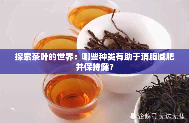 探索茶叶的世界：哪些种类有助于消脂减肥并保持健？