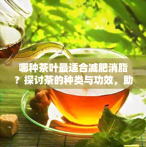 哪种茶叶最适合减肥消脂？探讨茶的种类与功效，助你轻松打造健瘦身计划