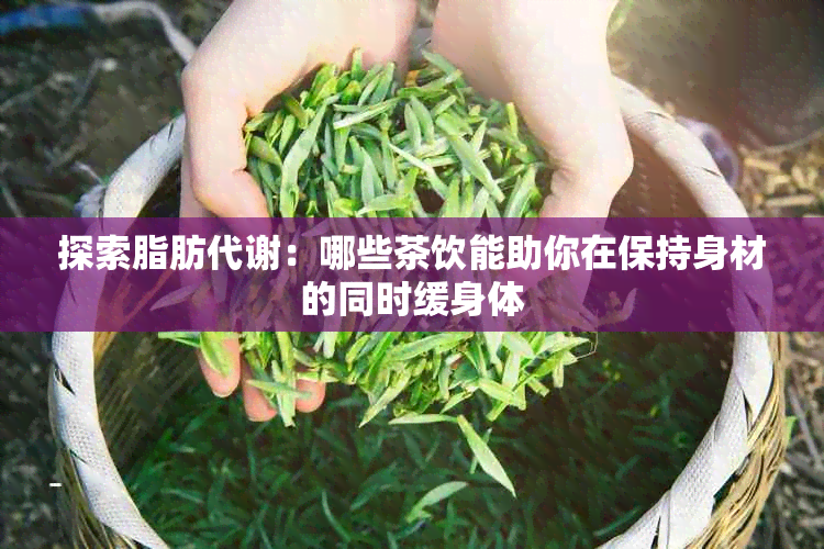 探索脂肪代谢：哪些茶饮能助你在保持身材的同时缓身体