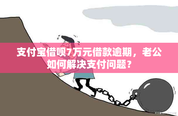 支付宝借呗7万元借款逾期，老公如何解决支付问题？