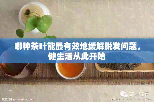 哪种茶叶能最有效地缓解脱发问题，健生活从此开始