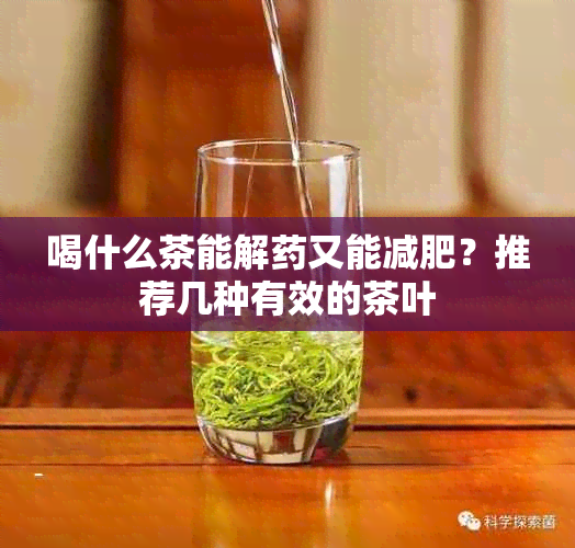 喝什么茶能解又能减肥？推荐几种有效的茶叶