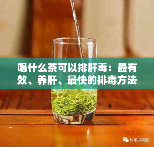 喝什么茶可以排肝：最有效、养肝、最快的排方法和茶叶推荐