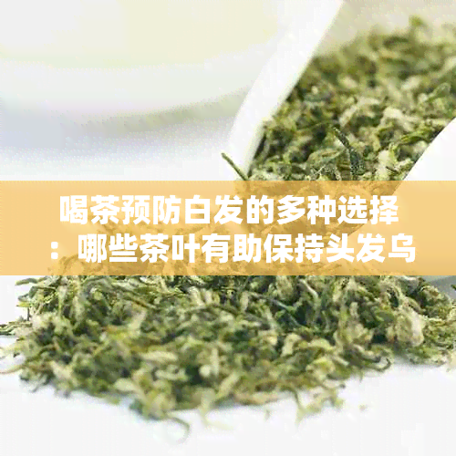 喝茶预防白发的多种选择：哪些茶叶有助保持头发乌黑？