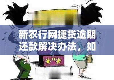 新农行网捷贷逾期还款解决办法，如何处理？