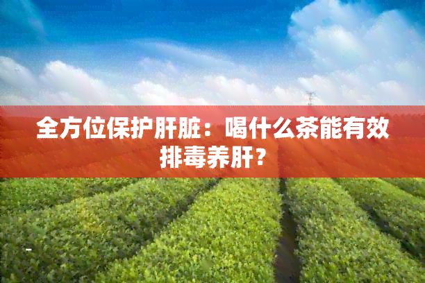 全方位保护肝脏：喝什么茶能有效排养肝？