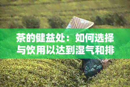 茶的健益处：如何选择与饮用以达到湿气和排的效果