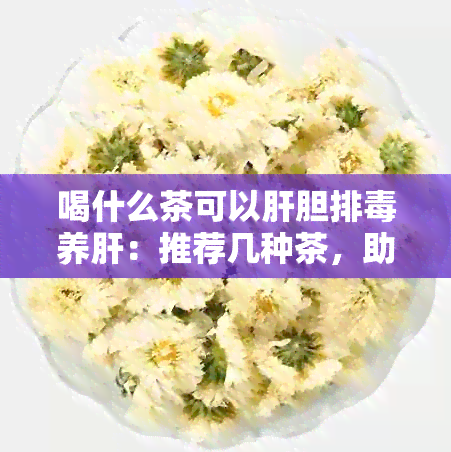 喝什么茶可以肝胆排养肝：推荐几种茶，助你护肝健脾，促进肝脏排。