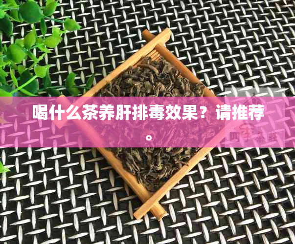 喝什么茶养肝排效果？请推荐。