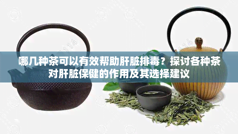 哪几种茶可以有效帮助肝脏排？探讨各种茶对肝脏保健的作用及其选择建议