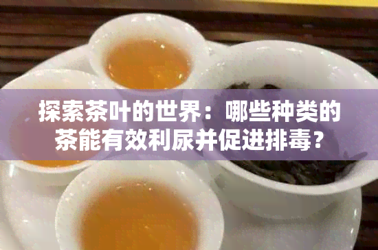 探索茶叶的世界：哪些种类的茶能有效利尿并促进排？