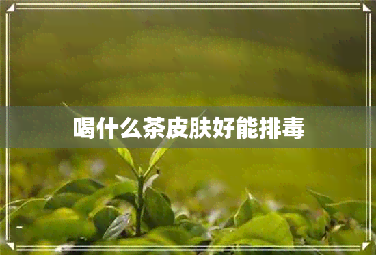 喝什么茶皮肤好能排