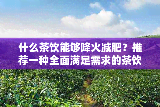 什么茶饮能够降火减肥？推荐一种全面满足需求的茶饮