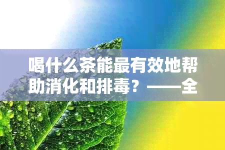 喝什么茶能最有效地帮助消化和排？——全面解析茶叶的消化和排功效