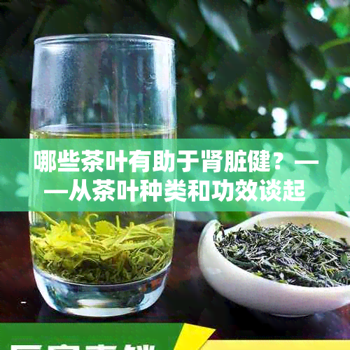 哪些茶叶有助于肾脏健？——从茶叶种类和功效谈起