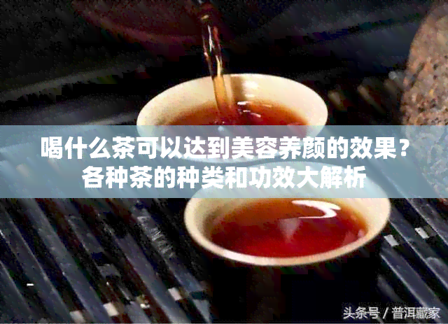 喝什么茶可以达到美容养颜的效果？各种茶的种类和功效大解析