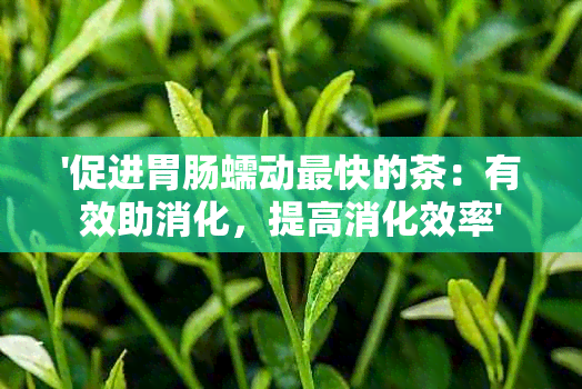 '促进胃肠蠕动最快的茶：有效助消化，提高消化效率'