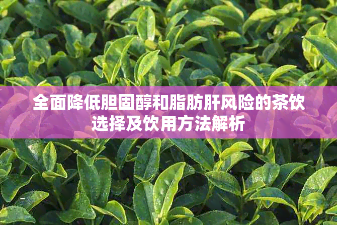 全面降低胆固醇和脂肪肝风险的茶饮选择及饮用方法解析