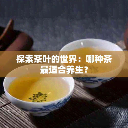 探索茶叶的世界：哪种茶最适合养生？