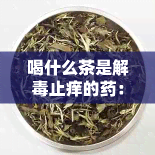 喝什么茶是解止痒的：推荐几种茶，有助于缓解皮肤瘙痒和湿气问题。