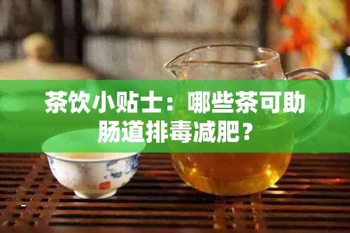 茶饮小贴士：哪些茶可助肠道排减肥？