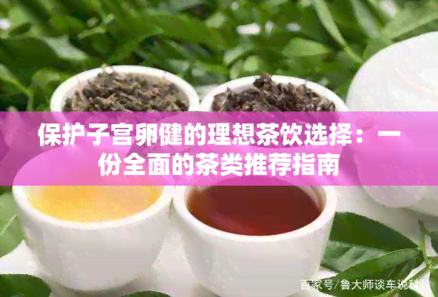 保护子宫卵健的理想茶饮选择：一份全面的茶类推荐指南