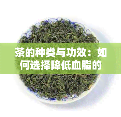 茶的种类与功效：如何选择降低血脂的健饮品？